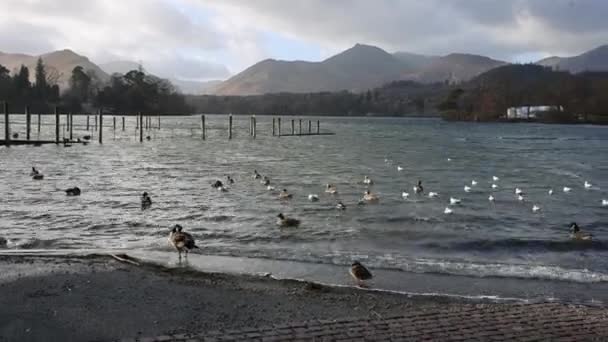 Derwentwater Keswick Lake District Cumbria — Video
