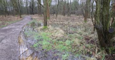 Tophill Alçak Doğa Koruma Alanı (İngilizce: Tophill Low Nature Resserve), Doğu Yorkshire 'da yer alan aktif bir Yorkshire Su arıtma tesisidir. 4K Video.