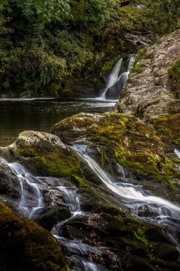 Ingleton Falls Kuzey Yorkshire İngiltere
