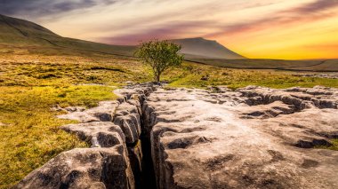Yorkshire Dales 'de günbatımında kireçtaşı kaldırım