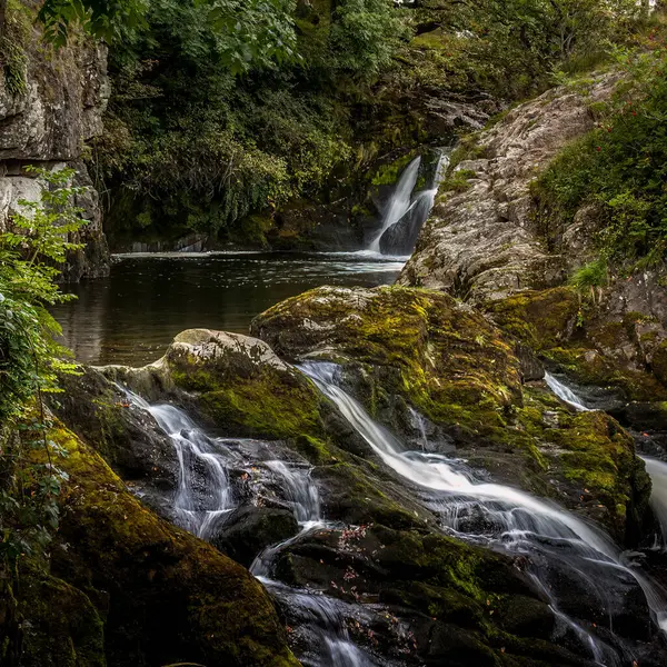 Ingleton Falls Kuzey Yorkshire İngiltere