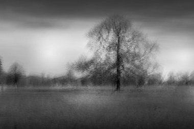 A tree with Intentional camera movement and multiple exposures clipart