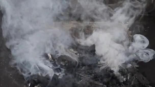 Thick Gray Smoke Coals Grill Preparação Carvão Para Churrasco — Vídeo de Stock