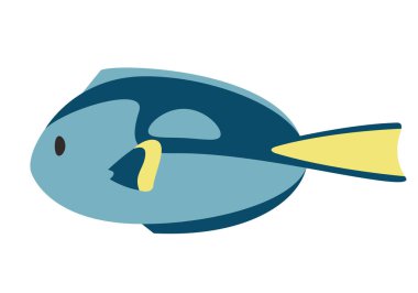 Paracanthurus in flat style. Beautiful underwater inhabitant.