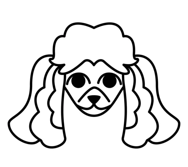 Chefe Poodle Bonito Animal Estimação Estilo Esboço —  Vetores de Stock