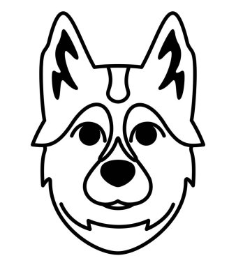 Sibirya Husky 'nin başı. Özet olarak safkan bir köpek..