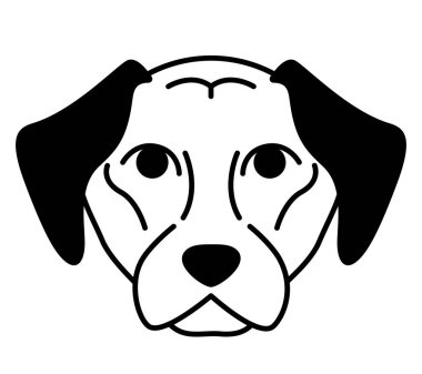 Labrador Retriever 'ın başı. Özet olarak safkan bir köpek..