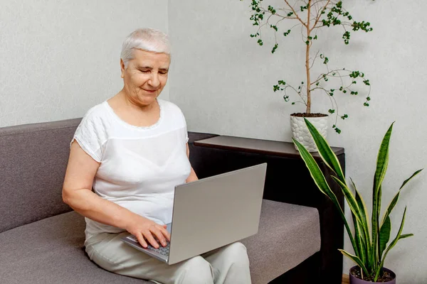 Elderly mature woman using laptop wireless applications browsing internet smiling middle aged grandmother working remotely on computer surfing internet chatting online