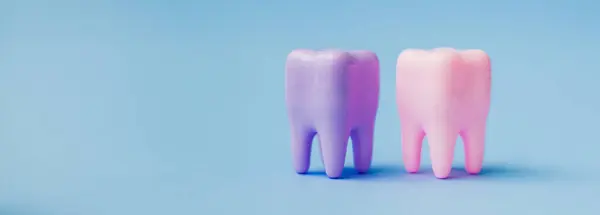 Two pink and purple teeth on a blue background. Dental health concept. Flat lay, top view, copy space for text. Stomatology. Place for text. Oral health and dental inspection teeth. Dentistry.