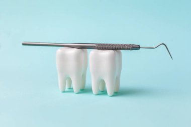Mavi arka planda iki beyaz diş modeli. Diş araştırması. Diş sağlığı konsepti. Model yap, boşluğu metin için kopyala. Diş hekimliği. Mesaj için yer. Ağız sağlığı ve diş muayenesi. Dişçilik