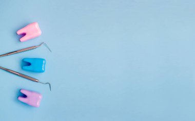 Mavi arka planda üç farklı renkte diş modeli. Diş araştırması. Mesaj için yer. Pankart. Düz yatıyordu. Yat. Model yap. Diş sağlığı konsepti. Oral sağlık ve diş muayenesi