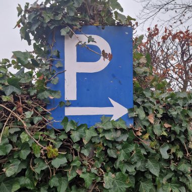 Dutch parking sign hidden in the bushes