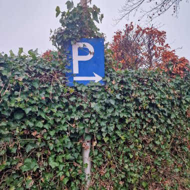 Dutch parking sign hidden in the bushes