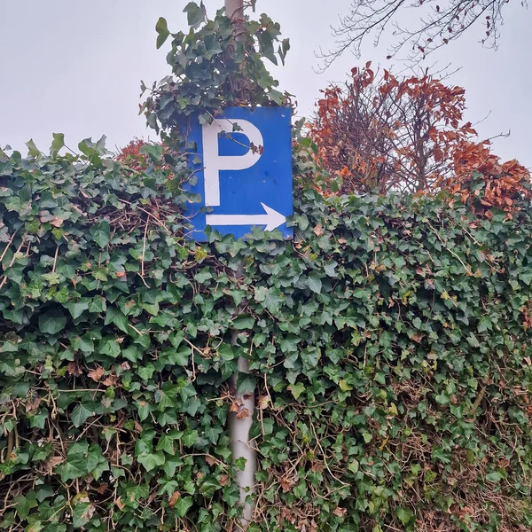 Dutch parking sign hidden in the bushes