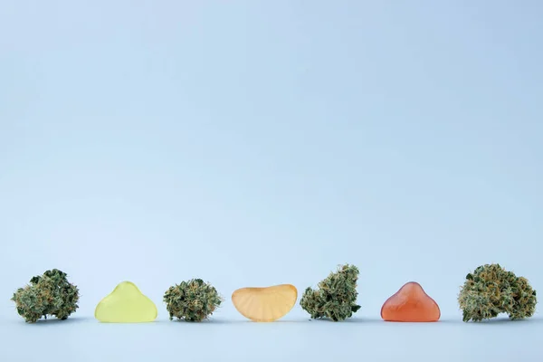Los Cogollos Secos Cannabis Medicinal Están Junto Las Gomitas Forma —  Fotos de Stock