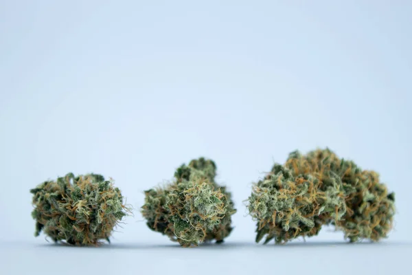 Soluk Mavi Arka Planda Kurutulmuş Tıbbi Marihuana Tomurcuğu Bir Sürü — Stok fotoğraf