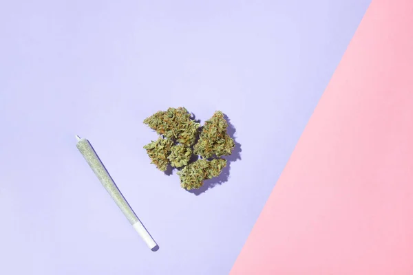 Joint King Size Lies Next Pile Dry Medical Marijuana Buds — Stock Photo, Image