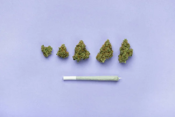 Trockene Knospen Medizinischen Marihuanas Liegen Einer Reihe Darunter Ein Joint — Stockfoto