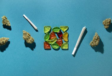 Meyveli sakızlar meydanın ortasında duruyor. Sağda ve solda kurumuş marihuana tomurcukları ve eklemleri var. Esrar tedavisi, mavi-yeşil arka planda, kopyalama alanı, düz alan
