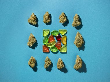 Meyveli sakızlar meydanda yatıyor, kurumuş tıbbi marihuana tomurcukları etrafta. Mavi-yeşil bir arkaplanda, boşluğu kopyala, düzleştir