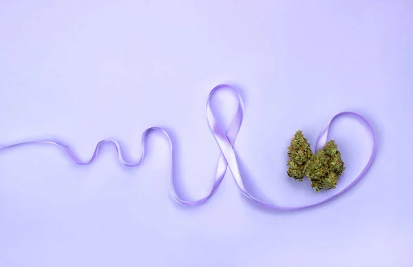 Два Сухих Бутона Медицинской Марихуаны Рядом Фиолетовым Знаком Эпилепсии Сделанным — стоковое фото