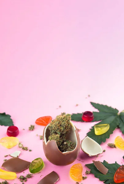 Csokoládé Tojás Száraz Rügyek Orvosi Marihuána Belül Rózsaszín Alapon Kannabiszlevelekkel — Stock Fotó