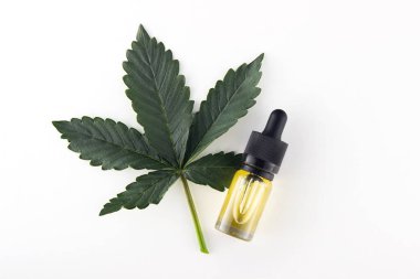 Yanında yeşil, taze bir tıbbi marihuana yaprağı var. Yanında da bir damla ile birlikte bir şişe cbd yağı. Tıbbi esrar kullanan kozmetik prosedürler