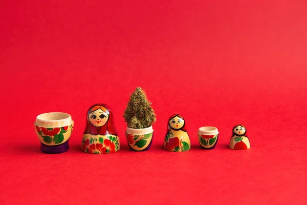 A set of wooden dolls nesting dolls on a red background, they contain dry buds of medical marijuana.  Alternative treatment with medical cannabis