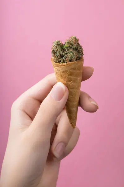 CBD içerikli kurumuş tıbbi marihuana bir kadının elindeki waffle dondurmasında. Pembe arka planda. Alternatif tıbbi esrar tedavisi