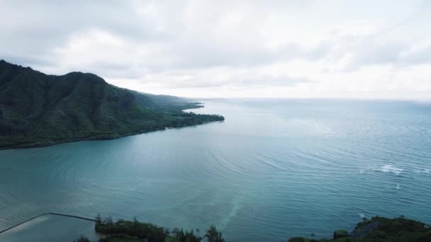 Aereo Drone Accovacciamento Lion Escursione Alle Hawaii — Video Stock