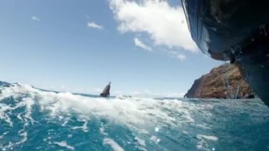 Hawaii, Kauai yakınlarındaki bir teknenin önünde yüzen yunus sürüsünün sualtı görüntüleri..