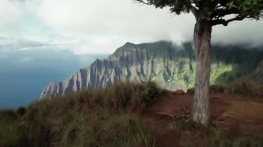 Hawaii, Kauai 'deki Na Pali Sahil Parkı Havalimanı.