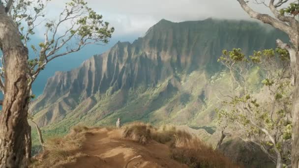 ハワイ州カウアイ島のナ パリ海岸州立公園 — ストック動画