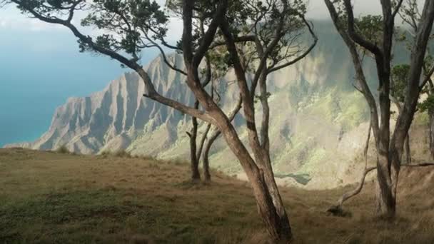 Pali Sahili Eyalet Parkı Kauai Hawaii — Stok video