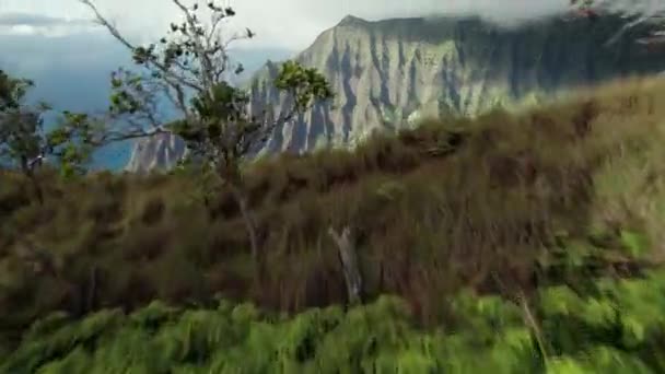 ハワイ州カウアイ島のナ パリ海岸州立公園の空中 — ストック動画