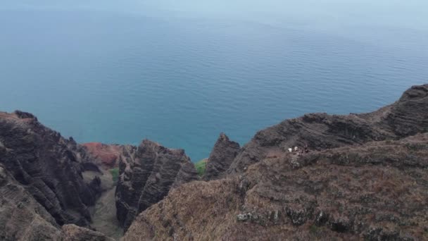 ハワイ州カウアイ島のナ パリ海岸州立公園の空中 — ストック動画