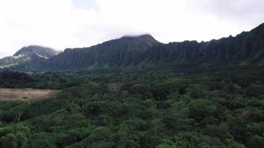 Hawaii 'deki Hoomaluhia Botanik Bahçesi Havalimanı