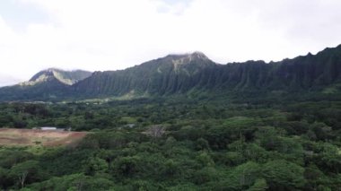 Hawaii 'deki Hoomaluhia Botanik Bahçesi Havalimanı