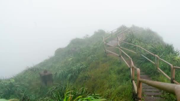 Timelapse Escalera Cielo Caminata Oahu Hawaii — Vídeo de stock
