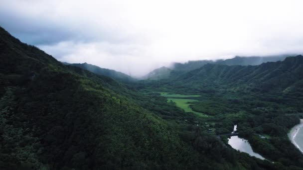 Drone Aerial Crouching Lion Hike Στη Χαβάη — Αρχείο Βίντεο
