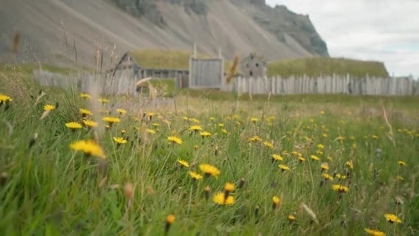 Viking Village Film Filmset Ijsland — Stockvideo