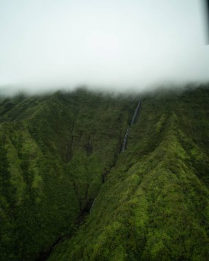 Hawaii, Kauai 'deki Na Pali Sahili' nin Yeşil Uçurumları. Yüksek kalite fotoğraf. Kauai 'nin kuzeydoğu kıyısındaki helikopter turundan çekilen yemyeşil dev kayalıklar..
