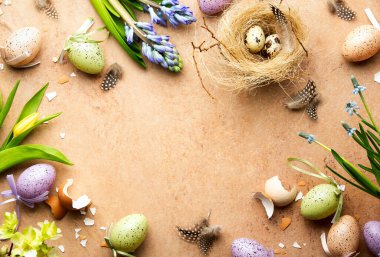 Paskalya arkaplanı bir karşılama metni ve bıldırcın yumurtalı küçük bir yuva ve bahar çiçekleri gibi çeşitli Paskalya dekorları için bir kopya alanı ile birlikte.