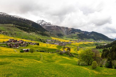 Alp köyü, karlı dağlarla çevrili çiçekli vadide yer alır.