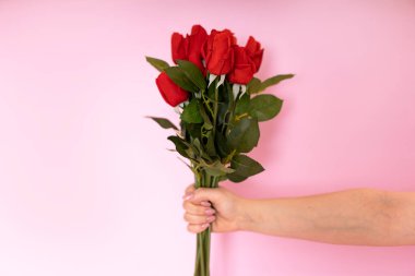 Flowers as a gift. Beautiful roses in close-up in womens hands, on a pink background. Springtime and inspiration.