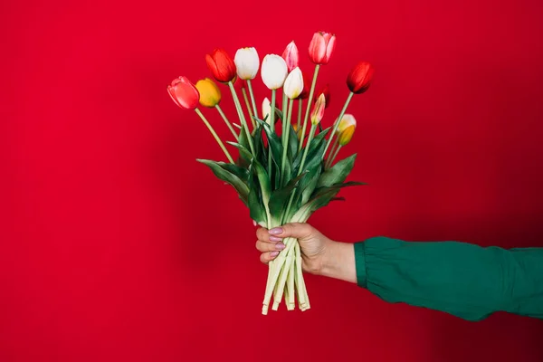 stock image a womans hand holds a bouquet of tulips on a red background. The concept of spring and the international womens holiday.