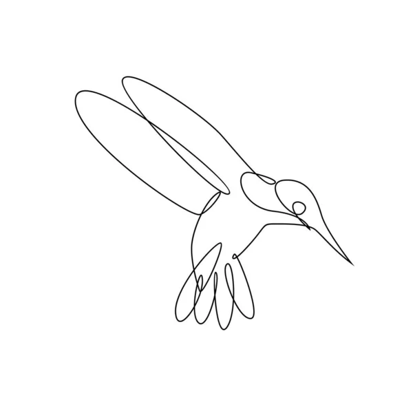 Hummingbird Line Illustration Template — Stock Vector