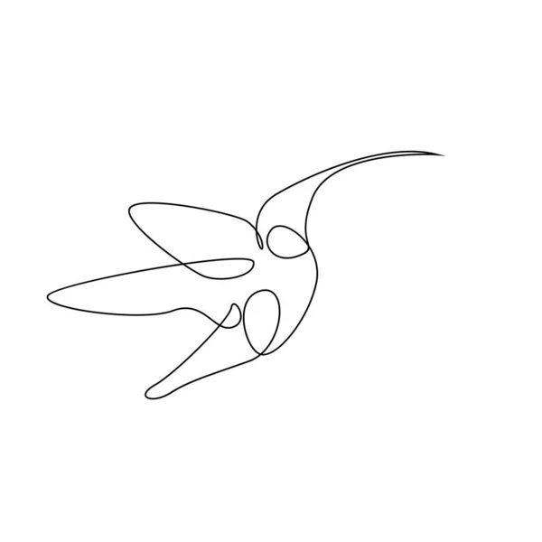 Modèle Illustration Ligne Colibri — Image vectorielle
