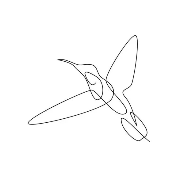 Šablona Pro Ilustraci Kolibříka — Stockový vektor