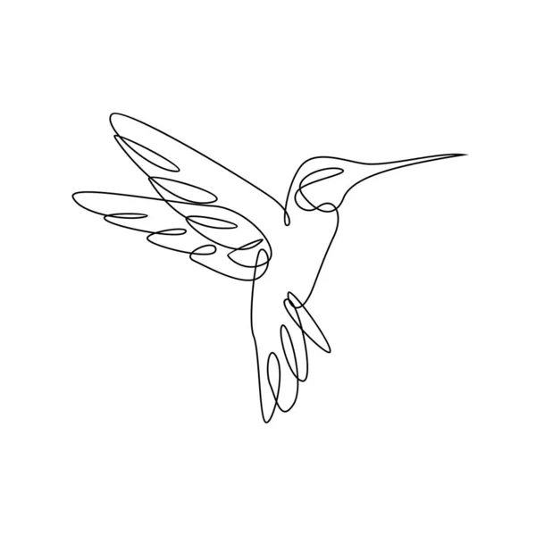 Kolibrie Lijn Illustratie Template — Stockvector